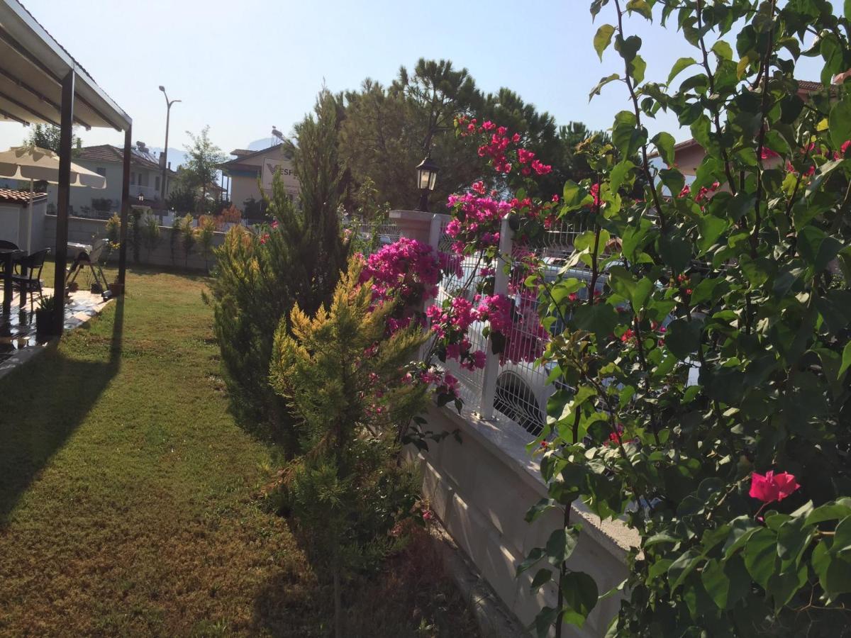 Vespera Hotel داليان المظهر الخارجي الصورة